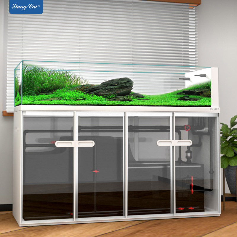 Aquarium Marine Fish For Sale - Großes, modernes Aquarium aus Glas, Lagertank,